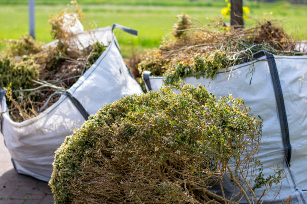 Best Moving and Downsizing Cleanouts  in Linden, NJ